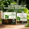 LIMETOW® Powerful Rooting Powder