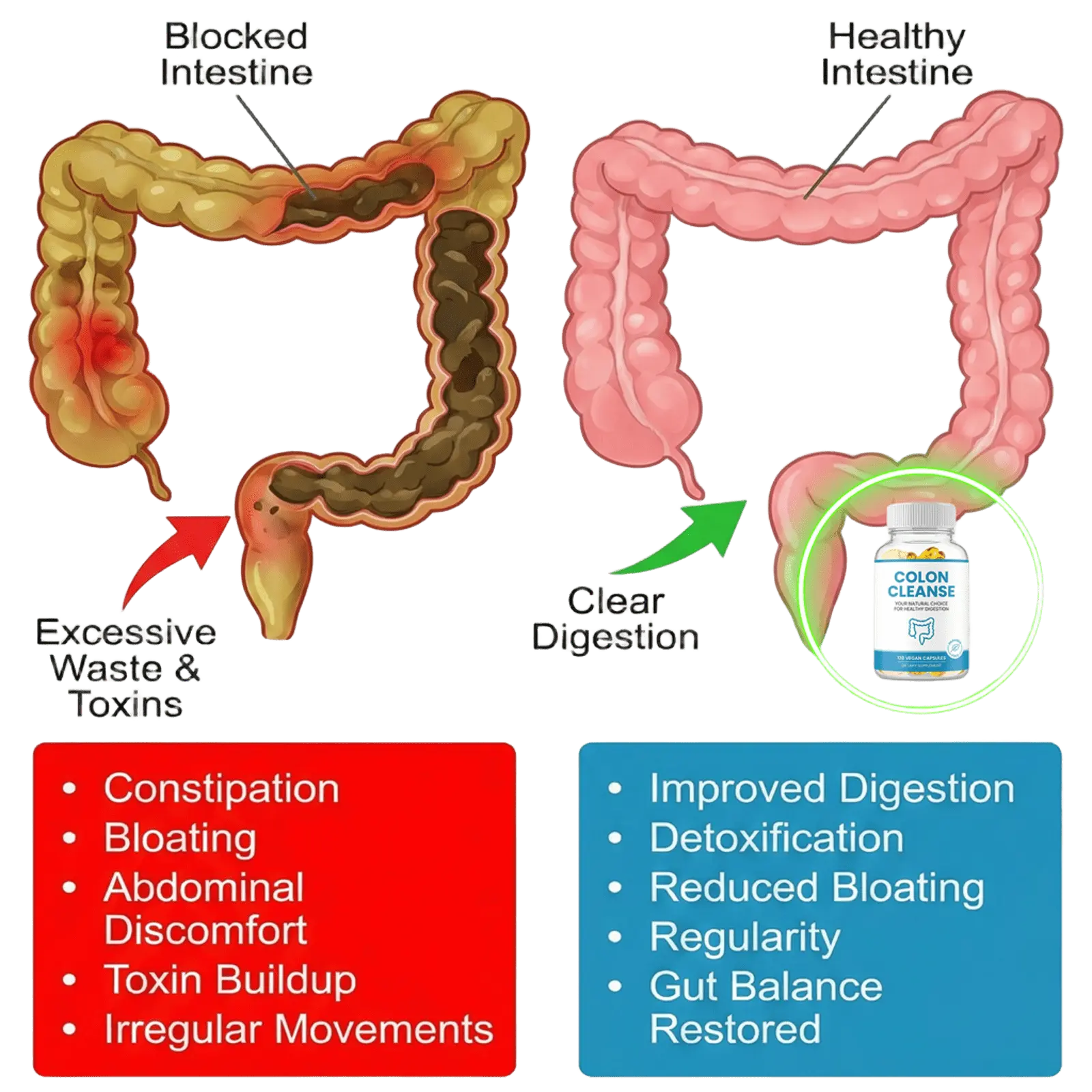 Colon Cleanse Digestive Support Formula
