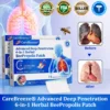CareBreeze Advanced Deep Penetration Herbal BeePropolis Patch